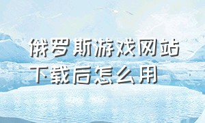 俄罗斯游戏网站下载后怎么用