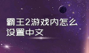 霸王2游戏内怎么设置中文