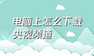 电脑上怎么下载央视频道