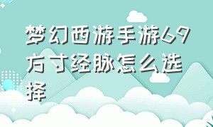 梦幻西游手游69方寸经脉怎么选择