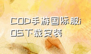 COD手游国际服iOS下载安装