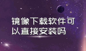 镜像下载软件可以直接安装吗