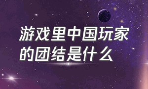 游戏里中国玩家的团结是什么