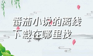 番茄小说的离线下载在哪里找