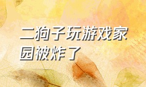 二狗子玩游戏家园被炸了