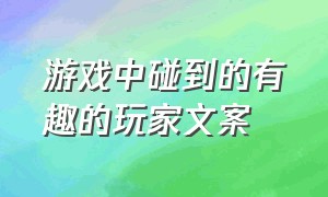 游戏中碰到的有趣的玩家文案