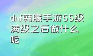 dnf韩服手游55级满级之后做什么呢