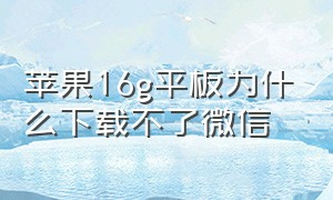 苹果16g平板为什么下载不了微信