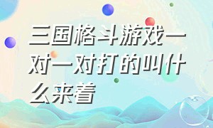 三国格斗游戏一对一对打的叫什么来着