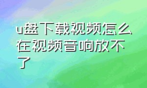 u盘下载视频怎么在视频音响放不了