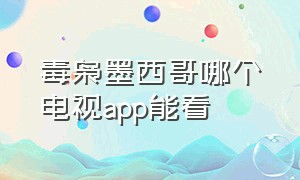 毒枭墨西哥哪个电视app能看