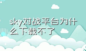 sky对战平台为什么下载不了