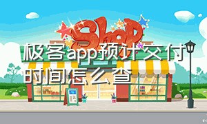 极客app预计交付时间怎么查