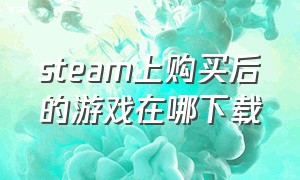 steam上购买后的游戏在哪下载