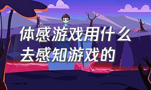 体感游戏用什么去感知游戏的