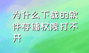 为什么下载的软件存储权限打不开