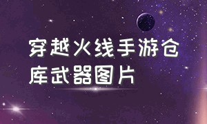 穿越火线手游仓库武器图片