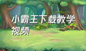 小霸王下载教学视频