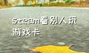 steam看别人玩游戏卡