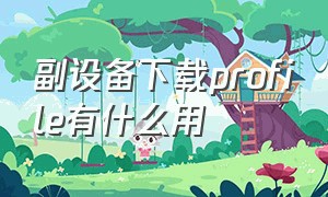 副设备下载profile有什么用