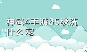 神武4手游85级洗什么宠