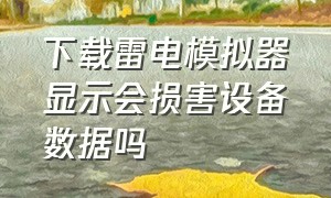 下载雷电模拟器显示会损害设备数据吗