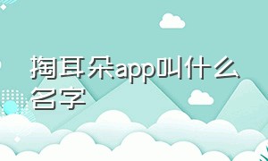 掏耳朵app叫什么名字