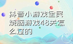 抖音小游戏全民烧脑游戏48关怎么过的