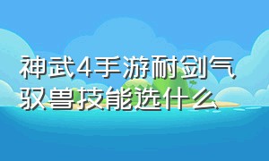 神武4手游耐剑气驭兽技能选什么