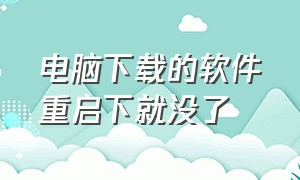 电脑下载的软件重启下就没了