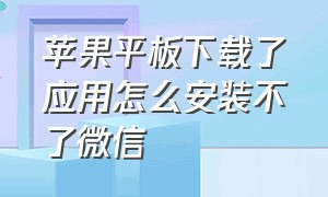 苹果平板下载了应用怎么安装不了微信