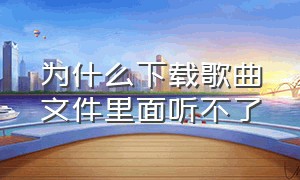 为什么下载歌曲文件里面听不了