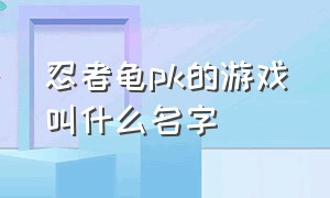 忍者龟pk的游戏叫什么名字