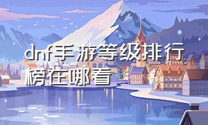 dnf手游等级排行榜在哪看