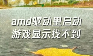 amd驱动里启动游戏显示找不到