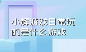 小辉游戏日常玩的是什么游戏