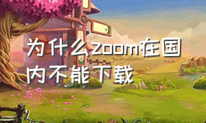 为什么zoom在国内不能下载