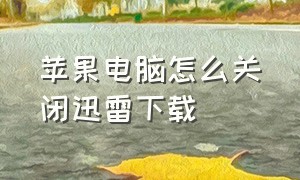 苹果电脑怎么关闭迅雷下载