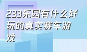 233乐园有什么好玩的真实赛车游戏