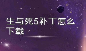 生与死5补丁怎么下载