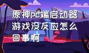 原神pc端启动器游戏没反应怎么回事啊