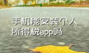 手机能安装个人所得税app吗