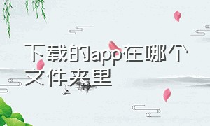 下载的app在哪个文件夹里