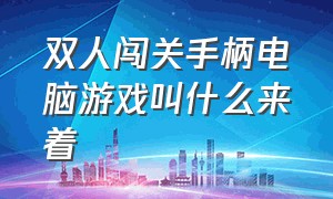 双人闯关手柄电脑游戏叫什么来着