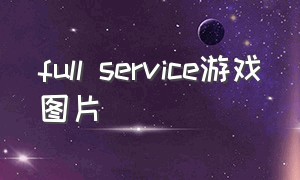 full service游戏图片