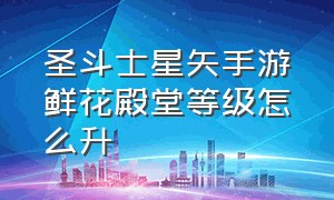 圣斗士星矢手游鲜花殿堂等级怎么升