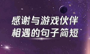 感谢与游戏伙伴相遇的句子简短