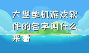 大型单机游戏软件的名字叫什么来着