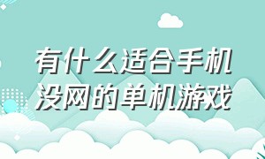 有什么适合手机没网的单机游戏