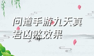 问道手游九天真君凶煞效果